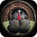 Appels de chasse Turquie APK