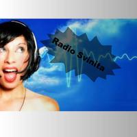 Radio Svinita Affiche