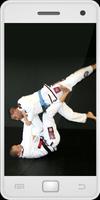 Poster Brazilian Jujitsu