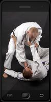 Brazilian Jujitsu 스크린샷 1