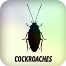 Cockroaches APK