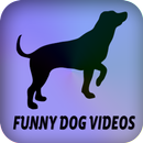 おかしい犬のビデオ APK