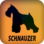 Schnauzer ไอคอน