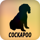 Cockapoo aplikacja