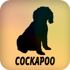 Cockapoo icono