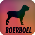 Boerboel أيقونة