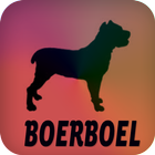 Boerboel ícone