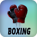 Boxing APK