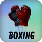 Boxe icône