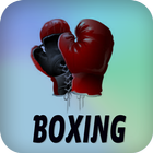 Boxing-icoon