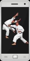 Karate capture d'écran 1
