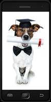 Dog Training-poster