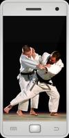 Judo 포스터