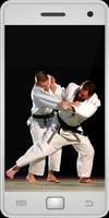 Judo Affiche