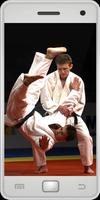 Poster Judo