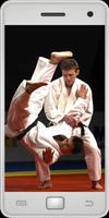 Judo Plakat