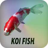 Koi Fish icon