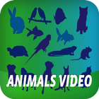 Animals Video icône