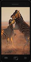 Wild Animals স্ক্রিনশট 1