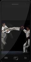 Taekwondo Affiche