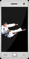 Taekwondo screenshot 1