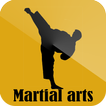 Martial arts