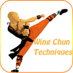 Techniques Wing Chun