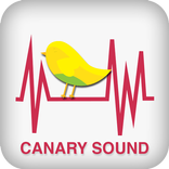 Canary Sounds