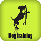 Dog Training آئیکن