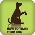 How to Train Your Dog