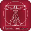 Human Anatomy APK