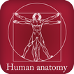 Human Anatomy