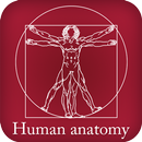 Anatomie humaine APK