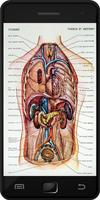 Human Anatomy Ekran Görüntüsü 1
