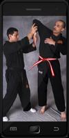 Hapkido Plakat
