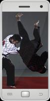 Hapkido Screenshot 1