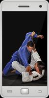 Jiu Jitsu imagem de tela 1
