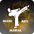 Mixed Martial Arts icône