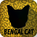 Bengal Cat APK