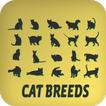 Cat Breeds