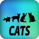 キャッツ APK