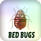 Bed Bugs icône