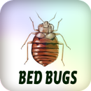 Bed Bugs APK