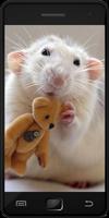 Rats پوسٹر