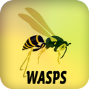 Wasps APK