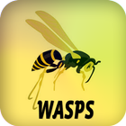 Wasps আইকন