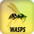 Wasps APK