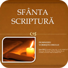 ikon Sfanta Scriptura