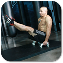 Abdominal Workout Exercises APK