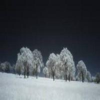 Wayne Dyer Daily ภาพหน้าจอ 2